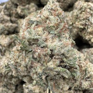 Florida Kush THCP hemp flower buds for bulk wholesale, close-up