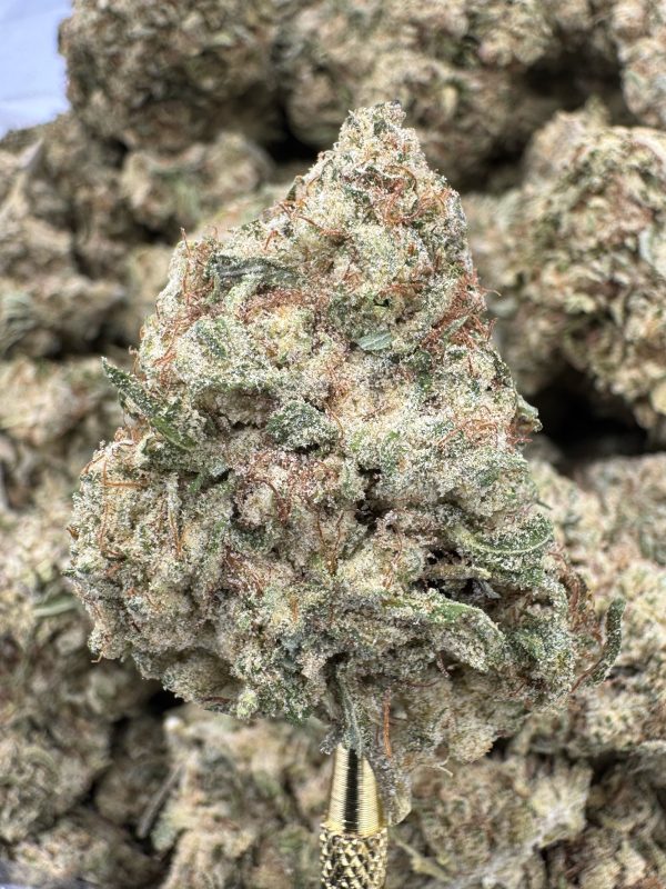 Florida Kush THCP hemp flower buds for bulk wholesale, close-up