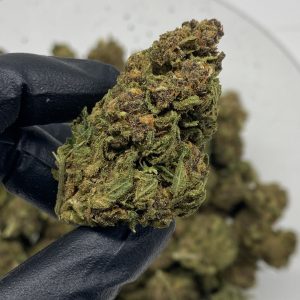 Fruity Pebbles CBD hemp flower buds for bulk wholesale, close-up