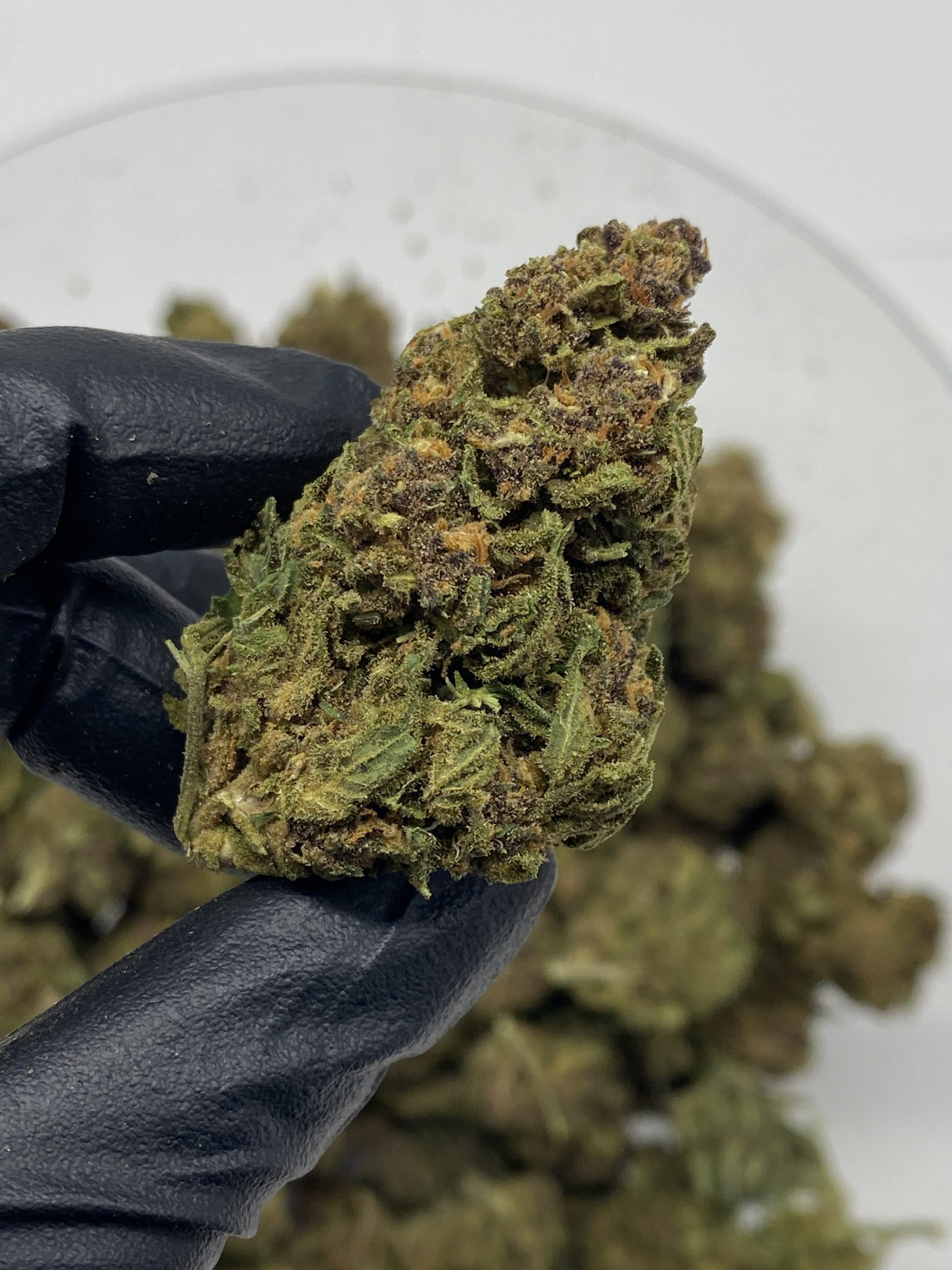 Fruity Pebbles Cbd Flower Fruity Pebbles Cbd Hemp Flower Buds For Bulk Wholesale, Close-Up