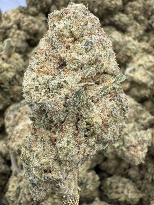 King Louis OG THCP hemp flower buds for bulk wholesale, close-up
