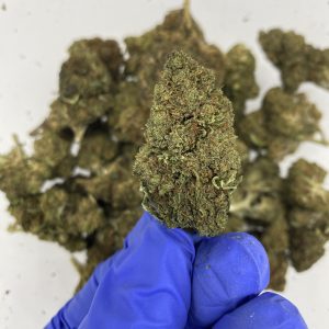 Lemon Octane CBD hemp flower buds for bulk wholesale, close-up