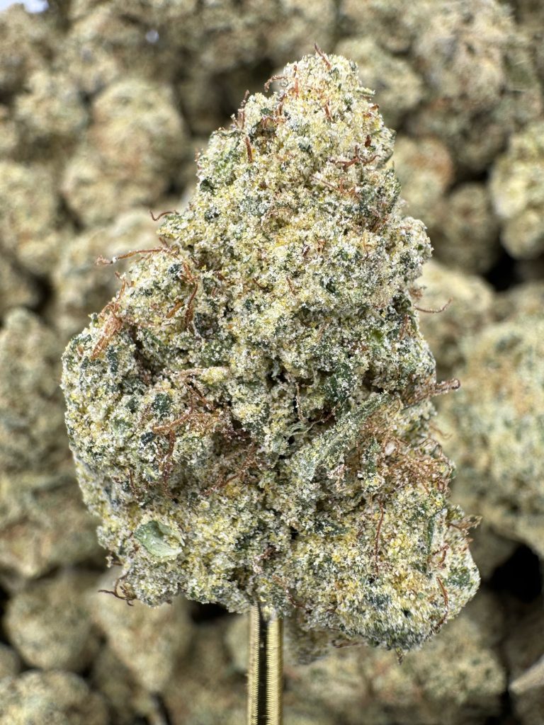 Lemonati THCP hemp flower buds, bulk wholesale, close-up showing trichome coverage