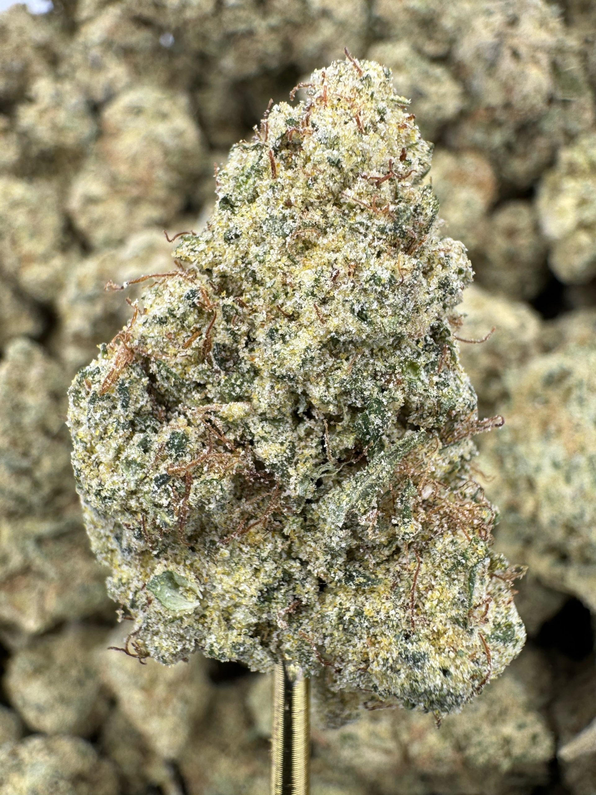 THCP Flower