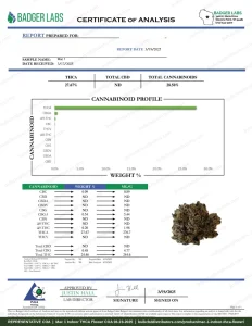 Mac 1 Indoor THCA Flower COA page 1