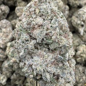 Mint Chocolate Chip THCP hemp flower buds for bulk wholesale, close-up