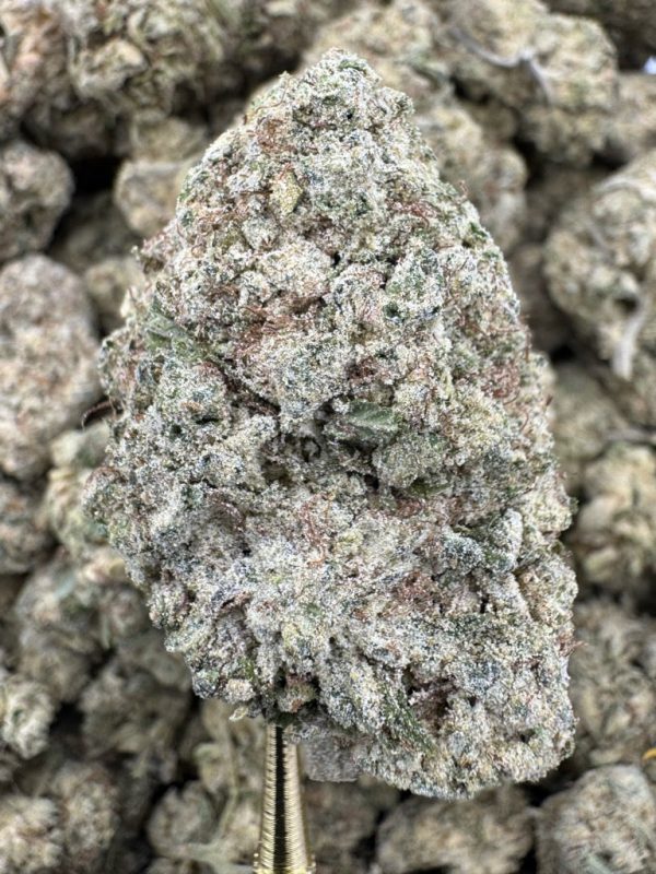 Mint Chocolate Chip THCP hemp flower buds for bulk wholesale, close-up