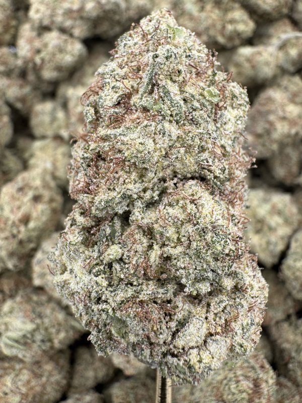 Platinum Bubba Kush THCP hemp flower buds for bulk wholesale, close-up