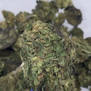 Remedy CBD hemp flower buds for bulk wholesale, close-up