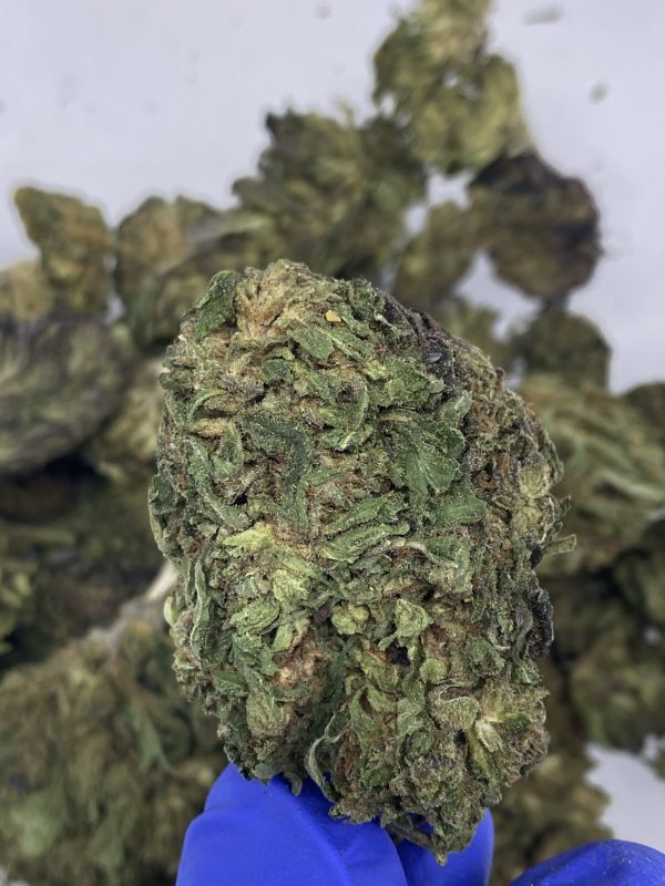 Remedy CBD hemp flower buds for bulk wholesale, close-up