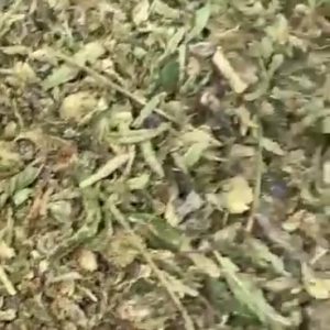 Rose Light Assist THCA Trim for bulk wholesale, close-up