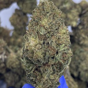 Royal OG CBD hemp flower buds for bulk wholesale, close-up