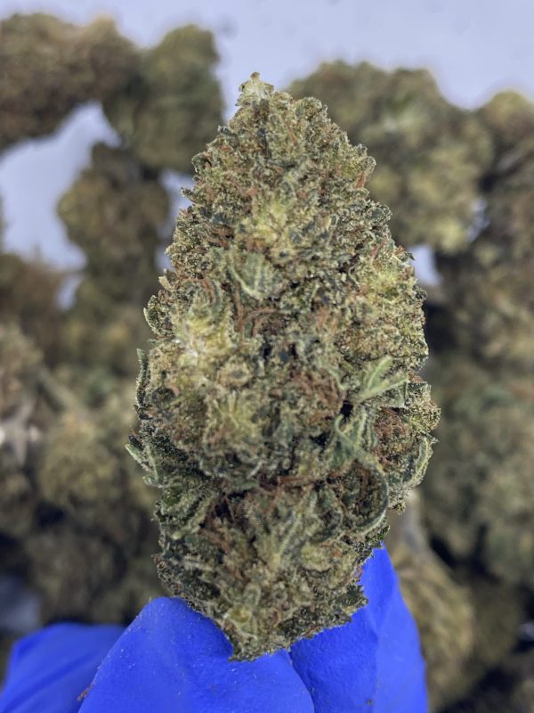 Royal OG CBD hemp flower buds for bulk wholesale, close-up