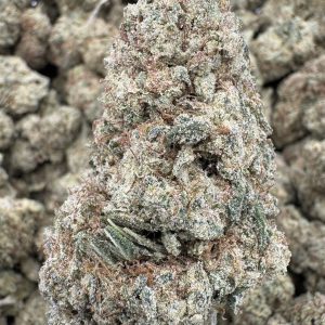 Sour Strawberry Diesel THCP hemp flower buds for bulk wholesale, close-up
