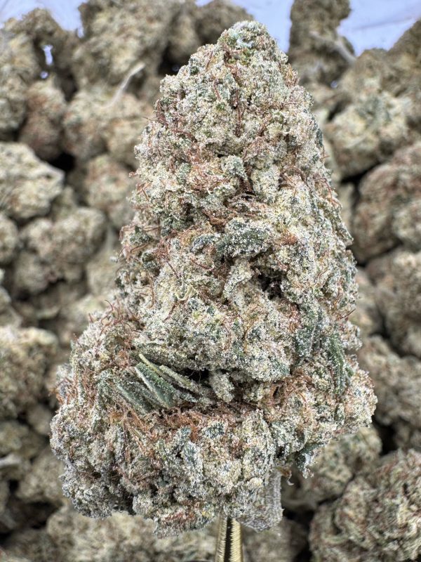 Sour Strawberry Diesel THCP hemp flower buds for bulk wholesale, close-up
