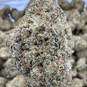 South Florida OG THCP hemp flower buds for bulk wholesale, close-up