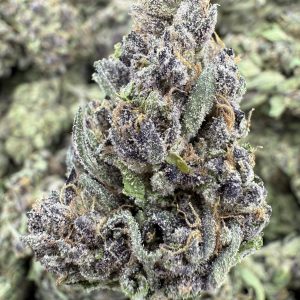 Sundae Driver THCP hemp flower buds for bulk wholesale, close-up