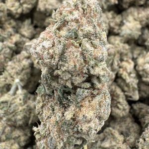 Super Lemon Haze THCP hemp flower buds for bulk wholesale, close-up
