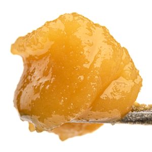THCA live resin concentrate on a dab tool for bulk wholesale