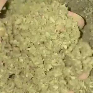Temptation Light Assist THCA Trim for bulk wholesale, close-up