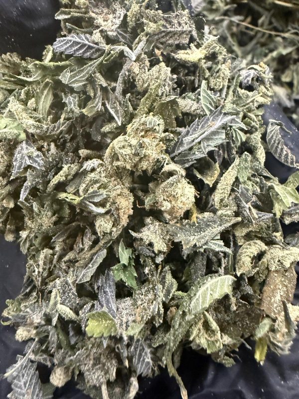 Uncle Snoop exotic THCA hemp trim for bulk wholesale