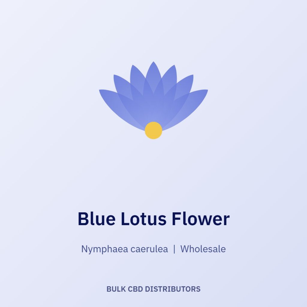 Blue Lotus Flower wholesale