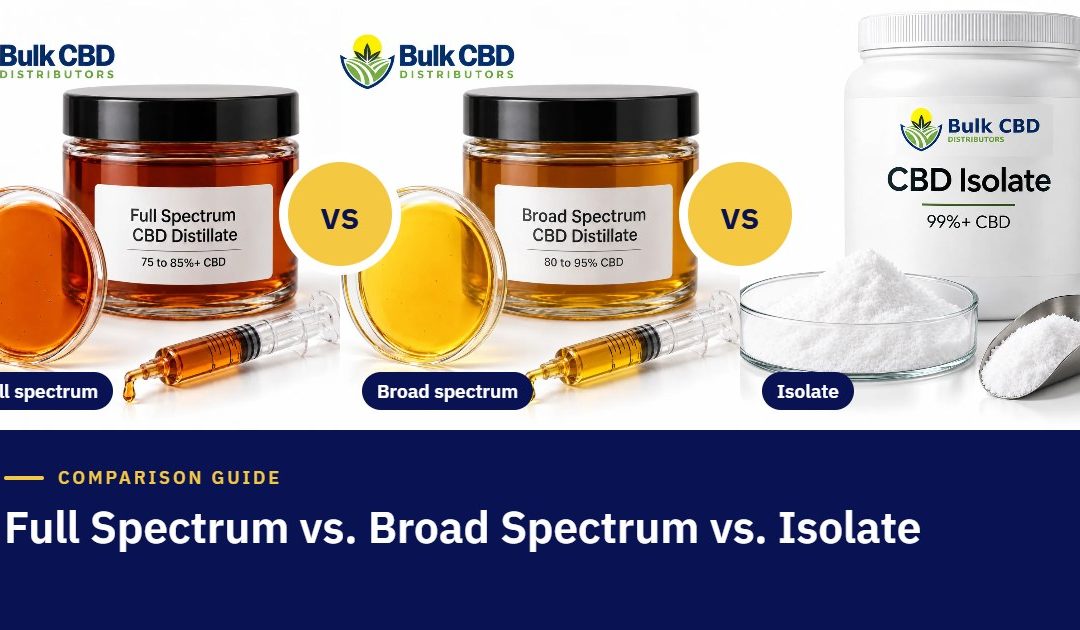 Full Spectrum vs Broad Spectrum vs CBD Isolate: The Complete B2B Guide