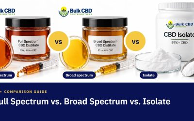 Full Spectrum vs Broad Spectrum vs CBD Isolate: The Complete B2B Guide