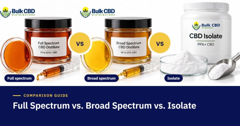 Full Spectrum vs Broad Spectrum vs CBD Isolate: The Complete B2B Guide Full Spectrum vs Broad Spectrum vs CBD Isolate: The Complete B2B Guide full vs broad spectrum vs isolate bcd 26