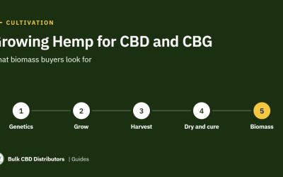 Growing Hemp for CBD and CBG: What Biomass Buyers Look For