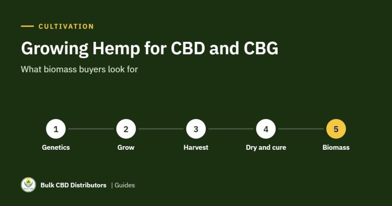 Growing Hemp for CBD and CBG: What Biomass Buyers Look For growing hemp for cbd cbg bcd 2