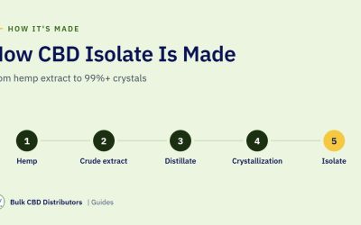 How CBD Isolate Is Made: From Hemp Extract to 99% Crystals