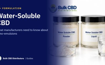 Water-Soluble CBD: What Manufacturers Need to Know About Nano-Emulsification and Bulk Sourcing
