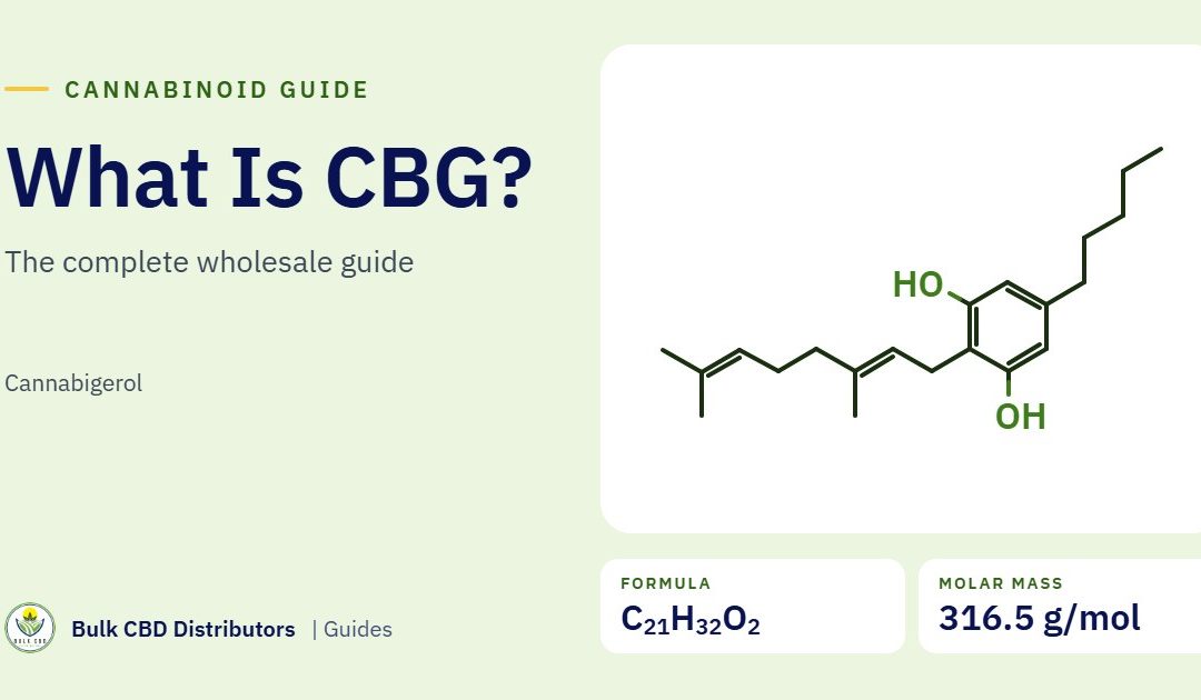 What Is CBG (Cannabigerol)? A Complete Guide for B2B Buyers