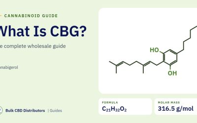 What Is CBG (Cannabigerol)? A Complete Guide for B2B Buyers